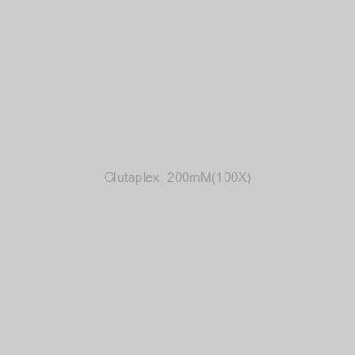 GenDepot - Glutaplex, 200mM(100X)